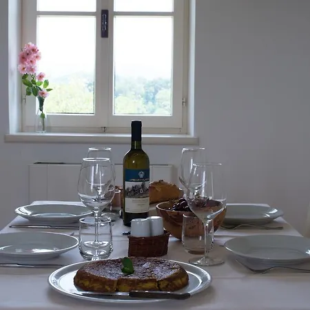 Casali Del Picchio - Winery * Cividale del Friuli