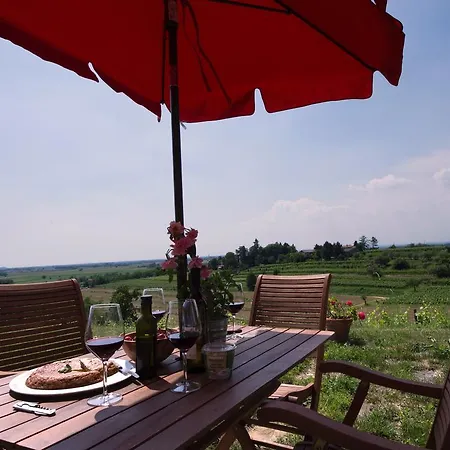 Casali Del Picchio - Winery