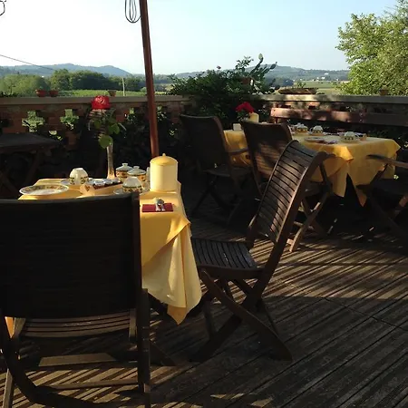 Casali Del Picchio - Winery *