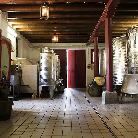 Casali Del Picchio - Winery *