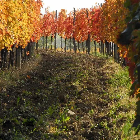 Casali Del Picchio - Winery Alloggio per agriturismo Cividale del Friuli