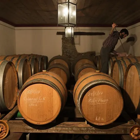 Casali Del Picchio - Winery مزرعة للإقامة