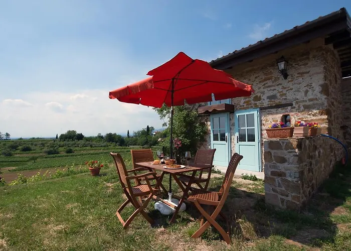 Casali Del Picchio - Winery