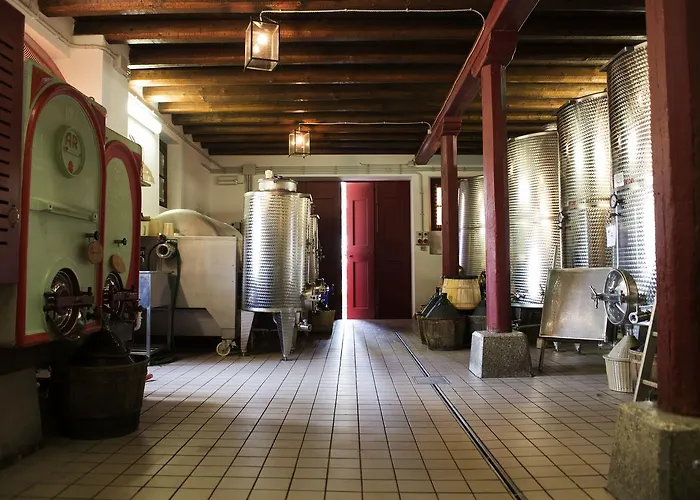 Casali Del Picchio - Winery *