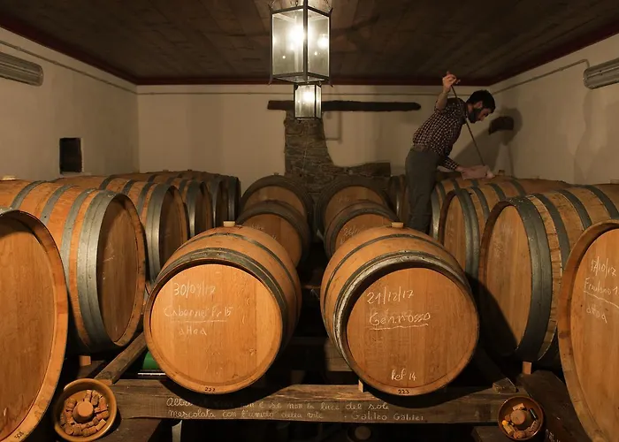 Casali Del Picchio - Winery Κατάλυμα σε φάρμα